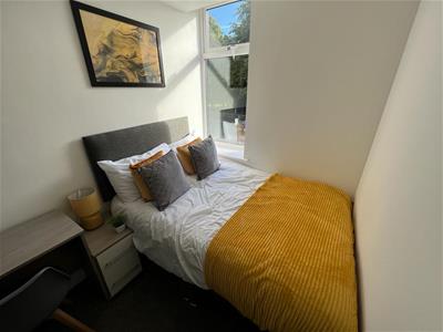 Picture 36